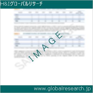 グローバルリサーチ調査レポートのイメージ